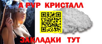 ешки Славгород