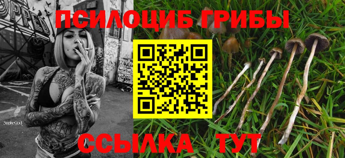 Псилоцибиновые грибы мицелий Барнаул
