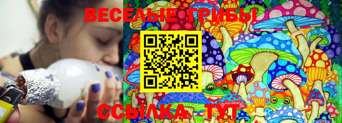 как найти закладки  Псилоцибиновые грибы ЛСД  Вход с VPN  Псилоцибиновые грибы Psilocybine cubensis  Барнаул 